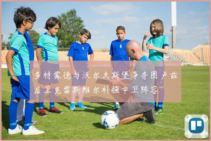 多特蒙德与沃尔夫斯堡争夺图卢兹后卫克雷斯维尔补强中卫阵容